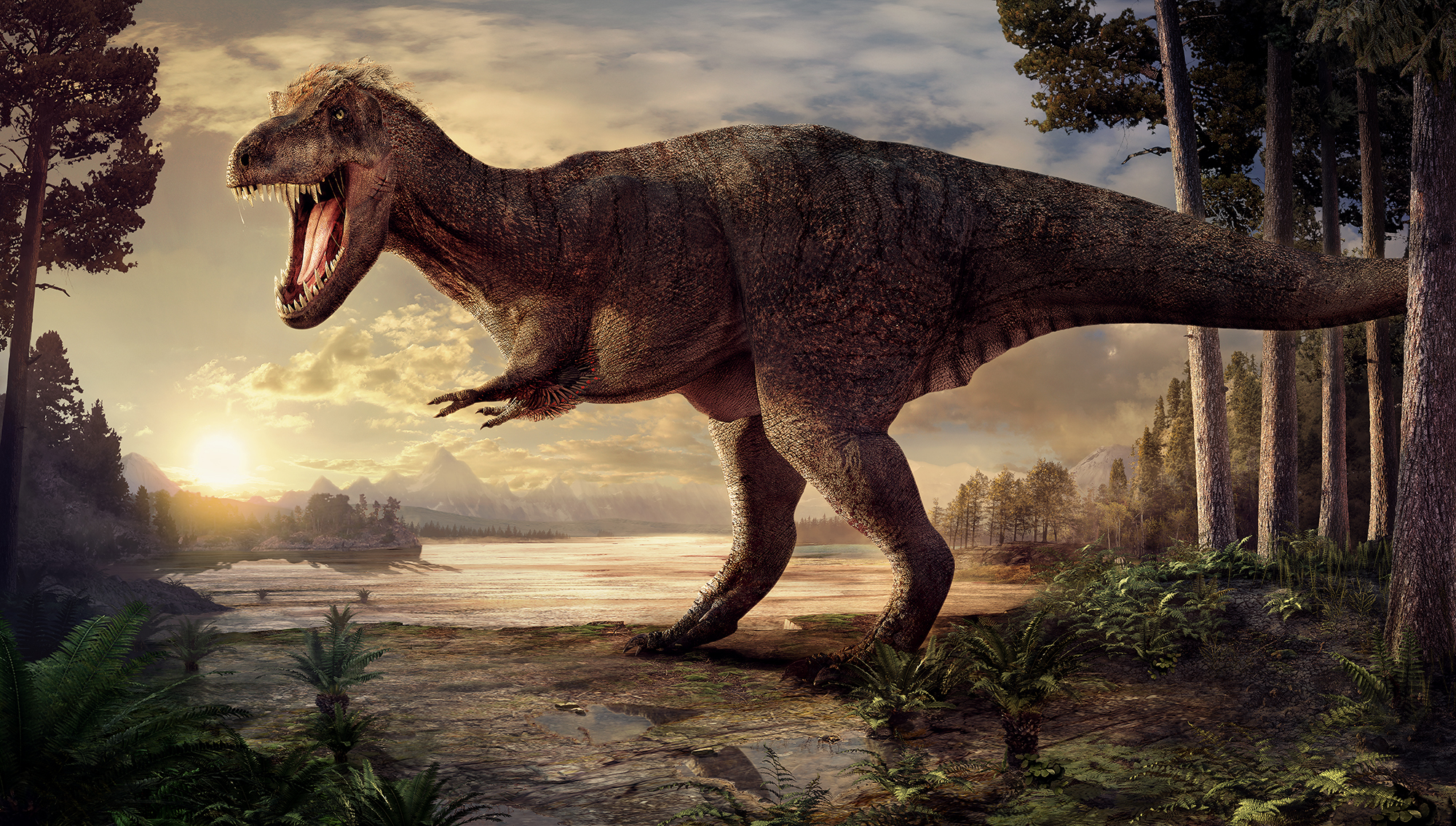 Toevallig Laboratorium wond Het leven van T. rex Trix | Natuurwijzer