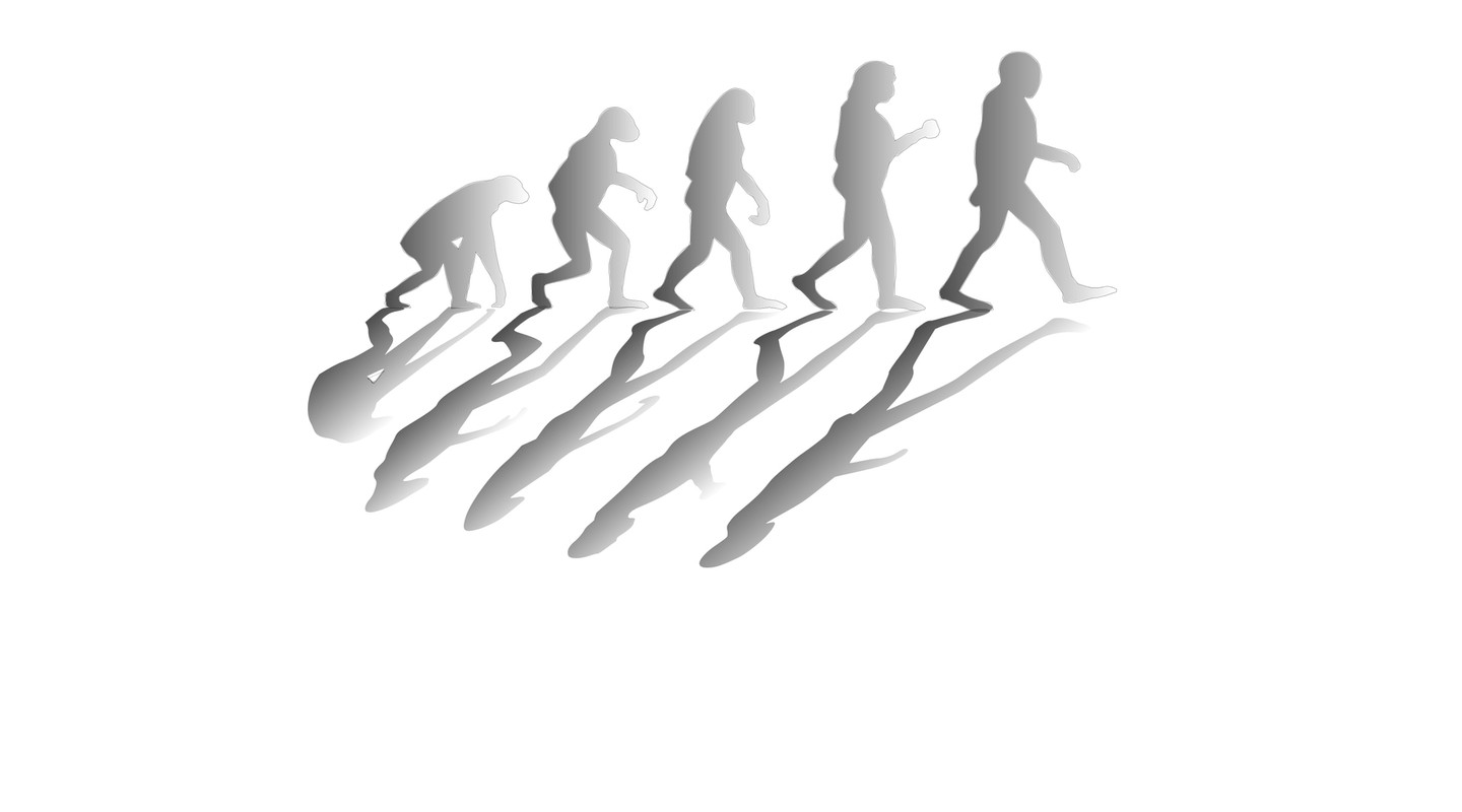 Wat is evolutie Biologielessennl