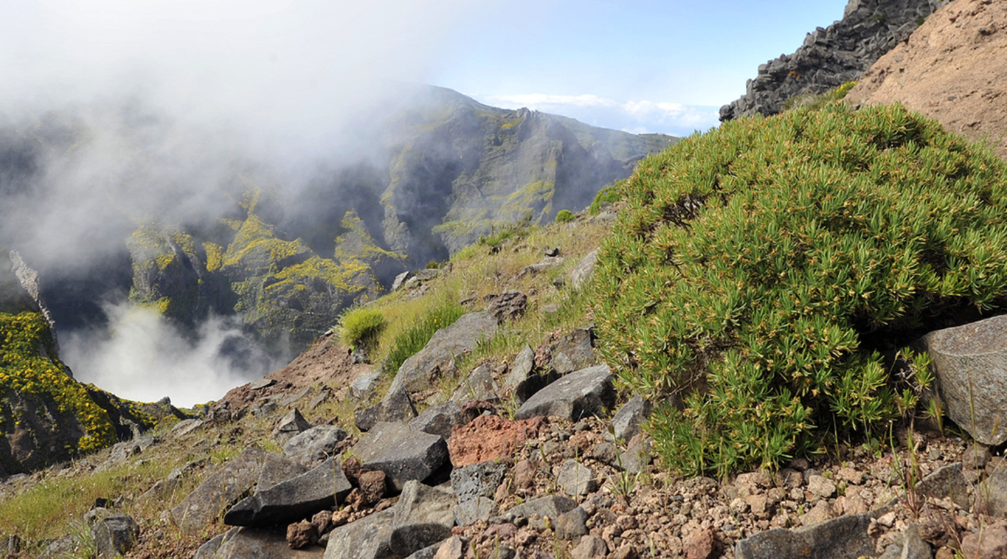 Berglandschap op Madeira