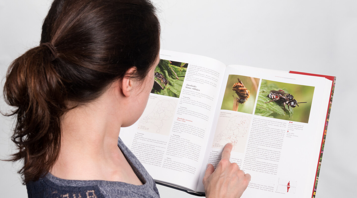 Een foto van collectiebeheerder Frederique Bakker met een boek in haar handen met plaatjes van bijen