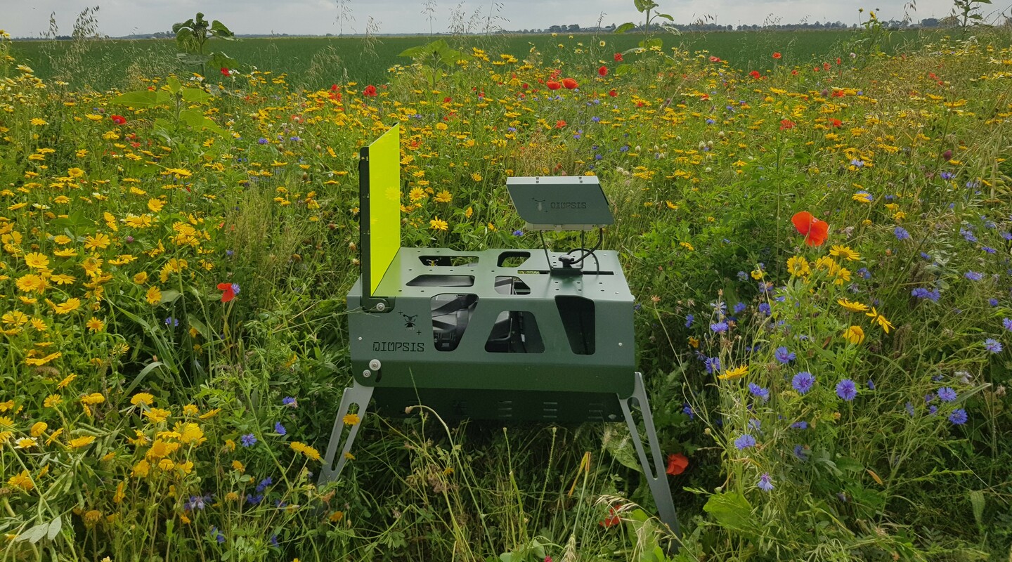 DIOPSIS camera in bloemenveld 2 Rotem Zilber