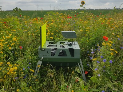 DIOPSIS camera in bloemenveld 2 Rotem Zilber