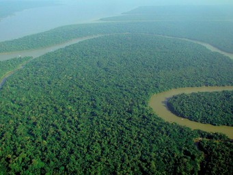 Amazone luchtfoto