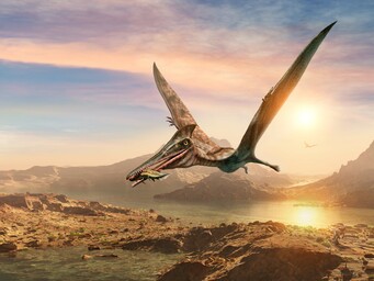 Pterosaurier in vlucht