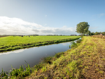 Nederlands landschap na onderhoud aan de sloot