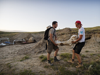 Opgraven van Triceratops in Wyoming.