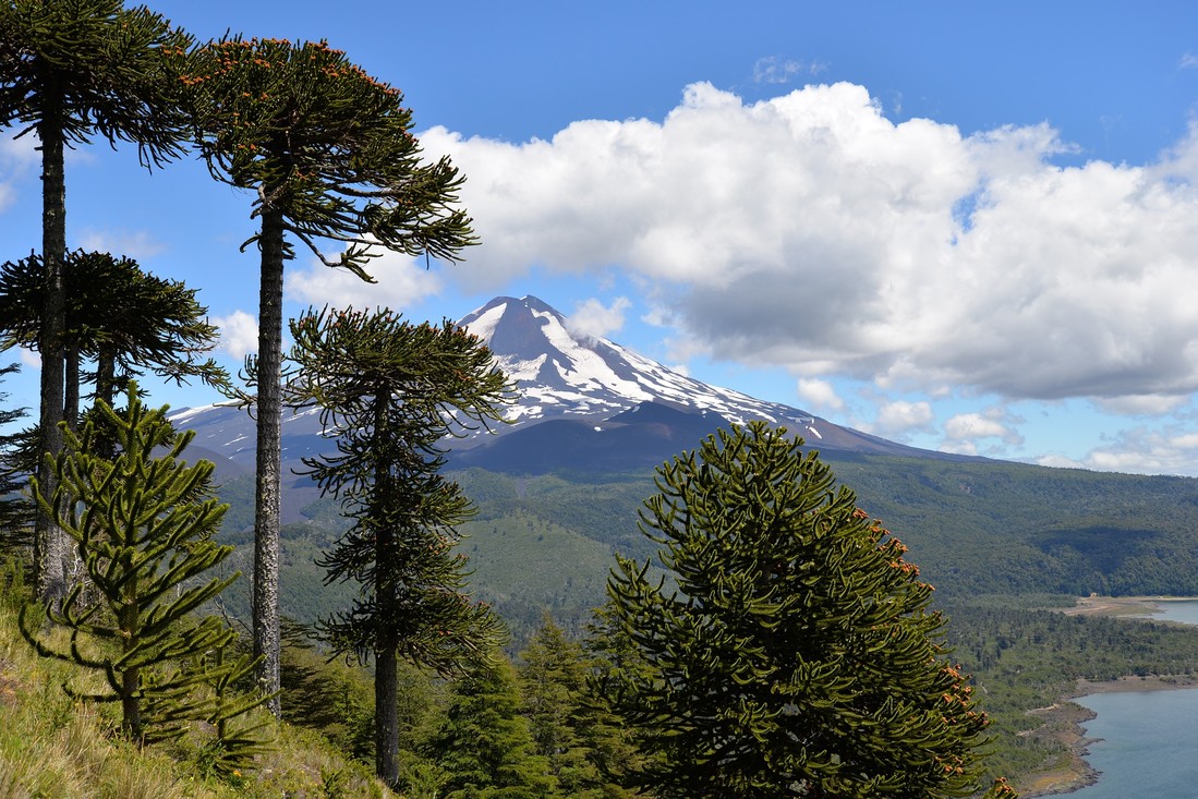 Conquillio national park in de Andes, Chili