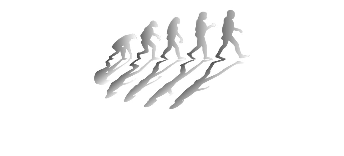 Evolutie van de mens