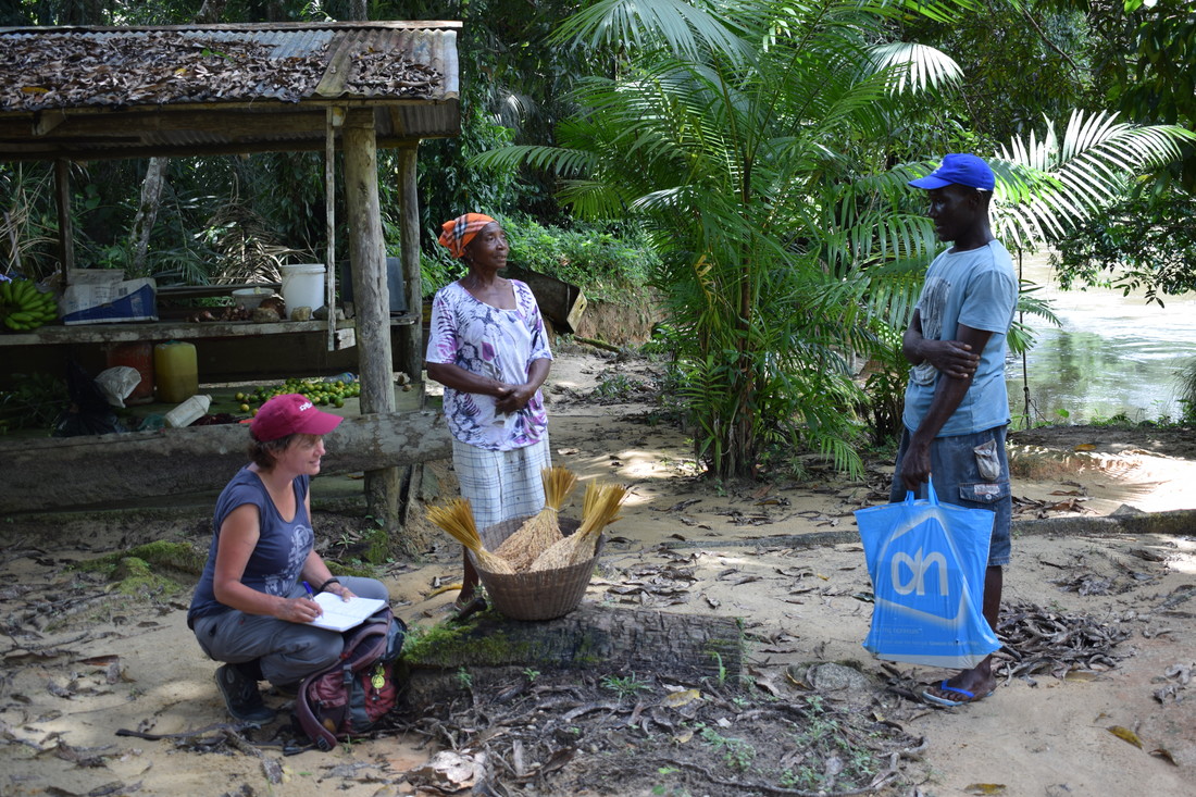 Tinde in Suriname