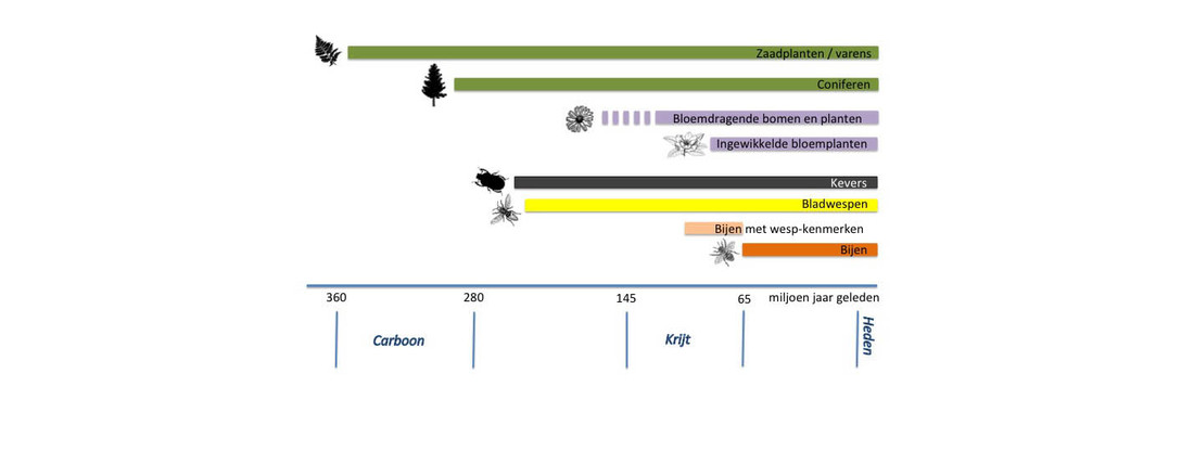 Planten en insecten belangrijk voor bestuiving