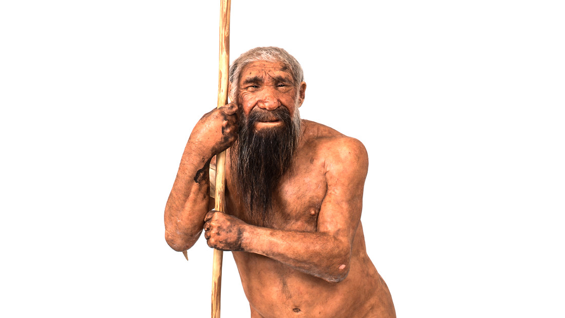 Reconstructie van de Homo Neanerthalensis