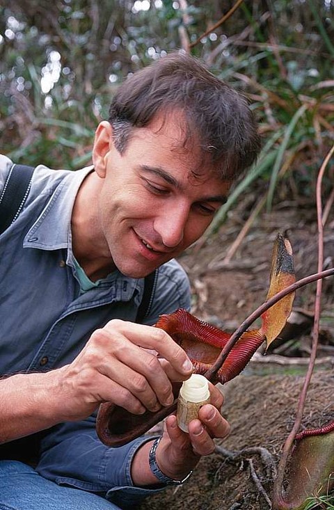 Menno Schilthuizen doet onderzoek in het veld.