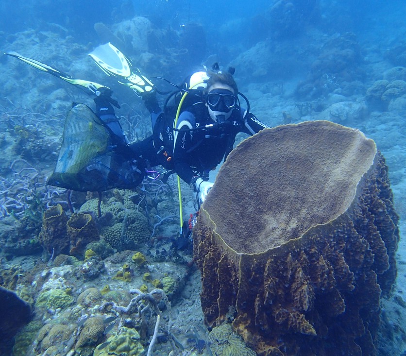Nicole op expeditie in Martinique