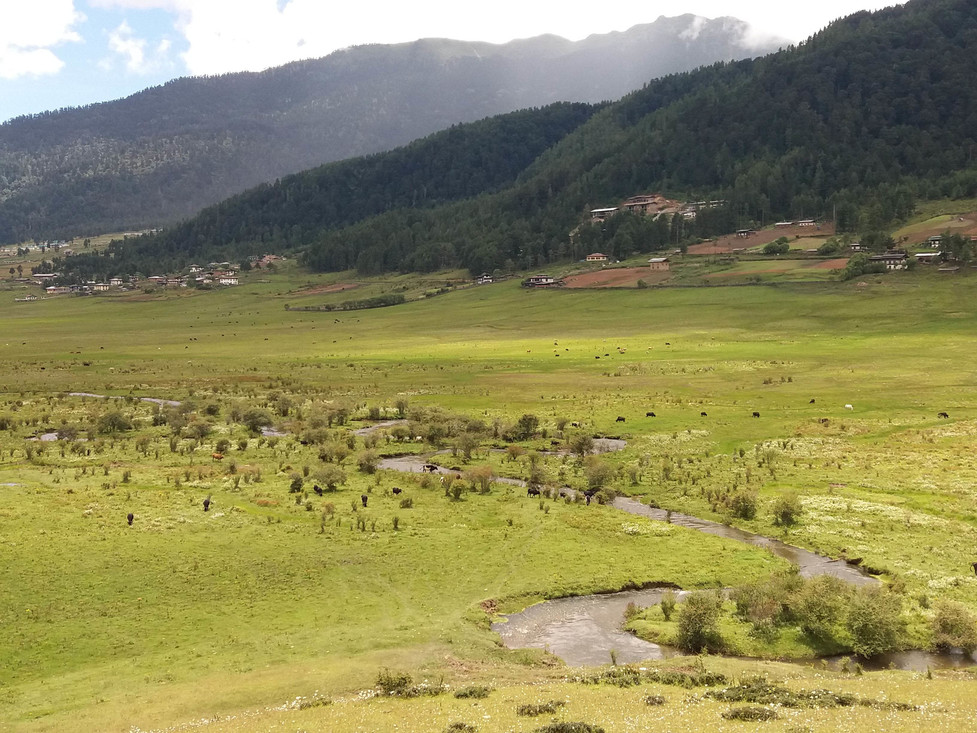 De natuur van Bhutan is nog weinig aangetast, doordat natuurbescherming hoog op de agenda staat van de overheid.
