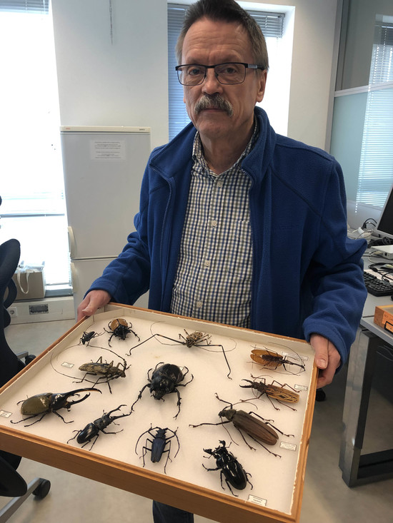 Hans met kevers uit de collectie van Naturalis