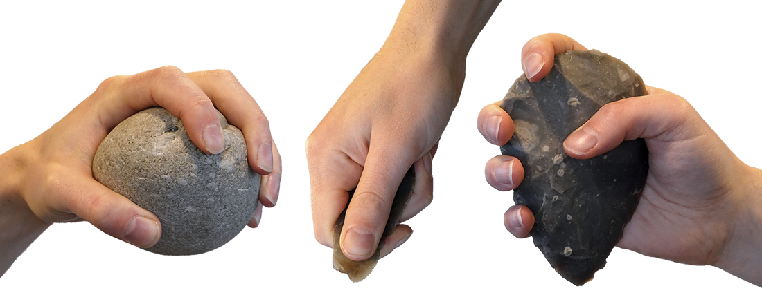 Bij het stevig vasthouden van stenen gereedschappen is de duim erg belangrijk
