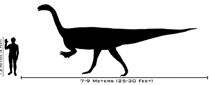 Grootte van Plateosaurus