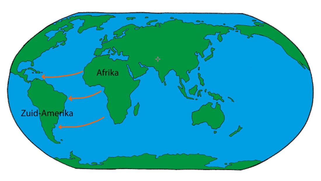 Denk jij dat Afrika en Zuid-Amerika ooit aan elkaar vast hebben gezeten?