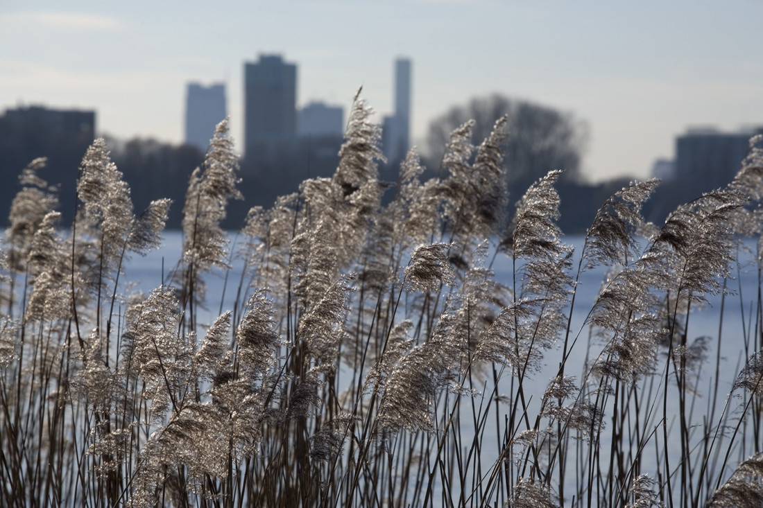 Natuur in Rotterdam