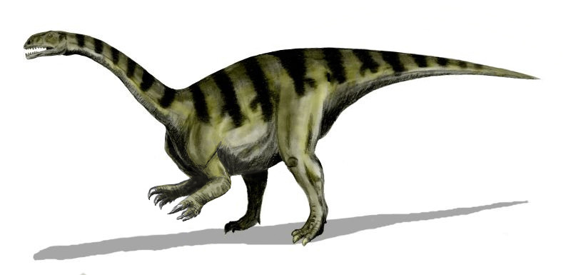 Zo zag Plateosaurus er ongeveer uit.