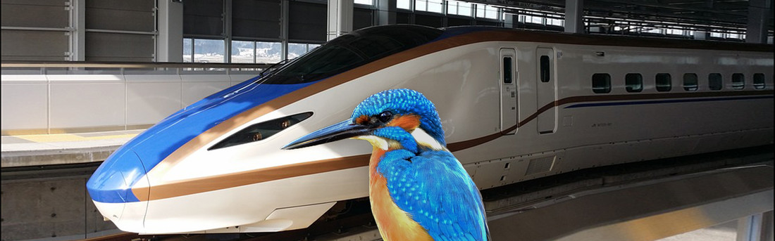 De bullettrain, de ijsvogel