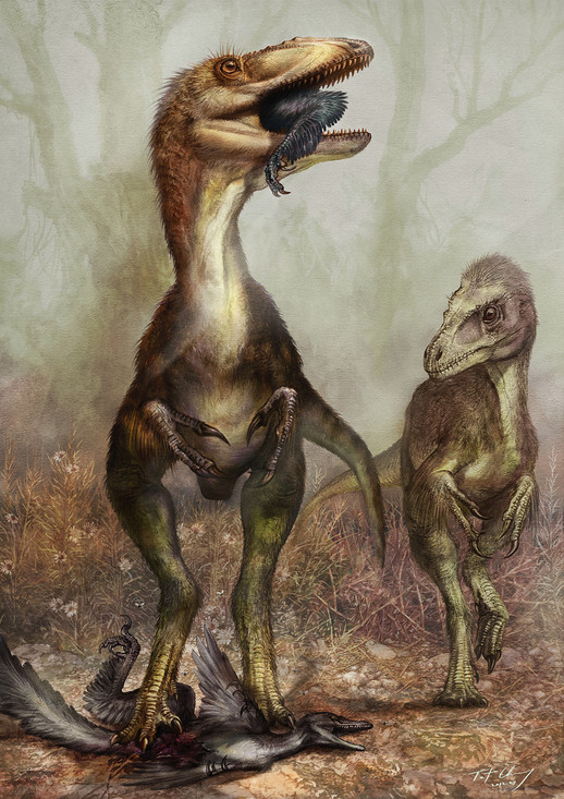 Sinocalliopteryx  eet een Sinornithosaurus op.