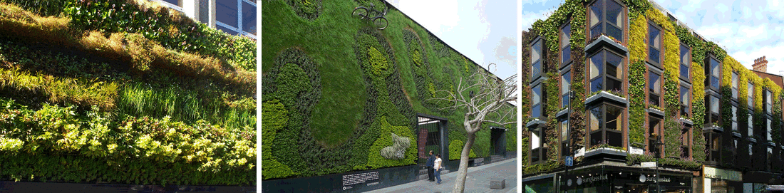 Een groene muur in Londen. Een groene muur in Mexico City. Een groene muur in Londen.