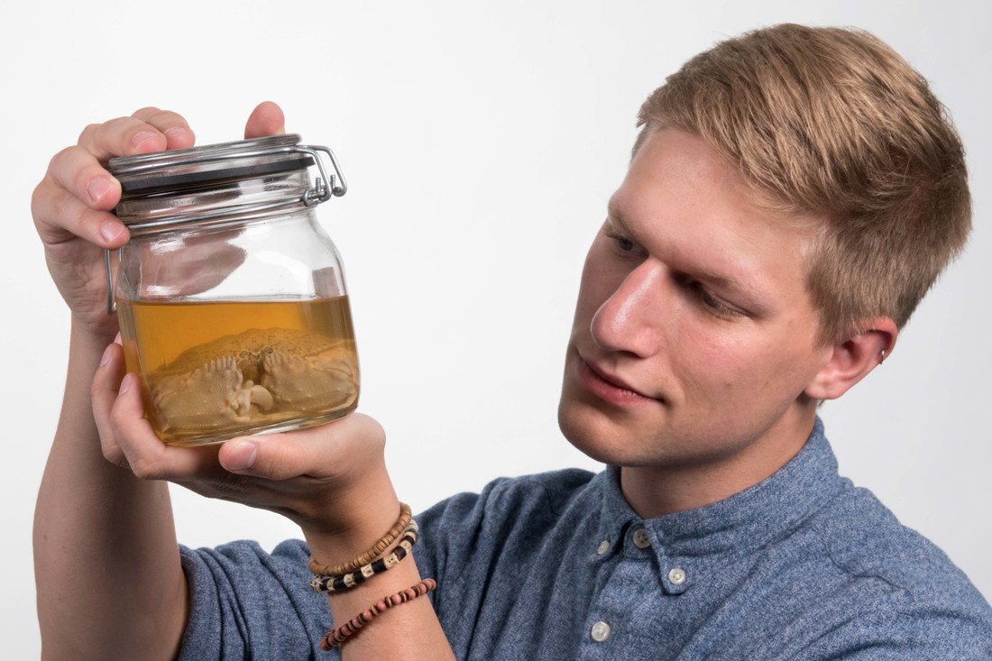 Werner met een schaamkrab.