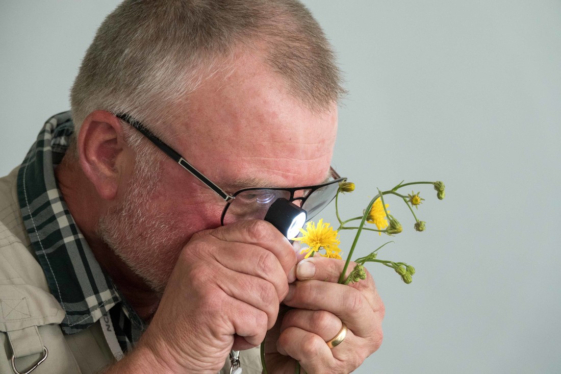 Marco Roos onderzoekt een bloem van dichtbij.