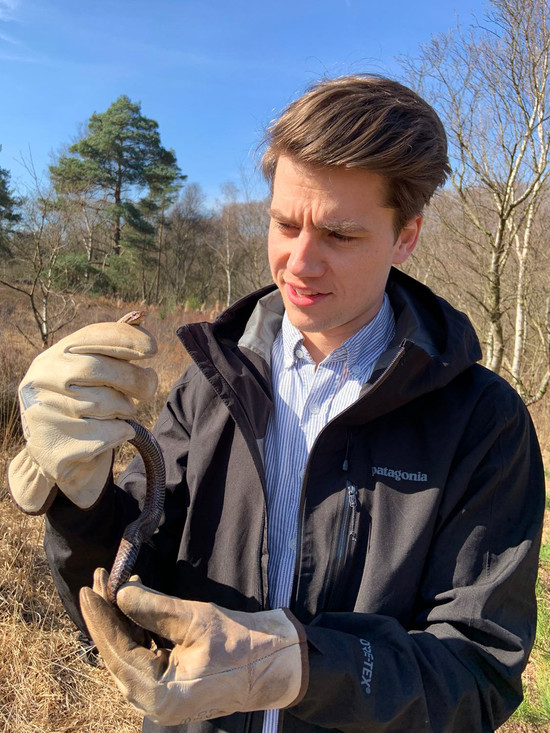 Mátyás met een adder (Vipera berus), de enige giftige slang van Nederland.