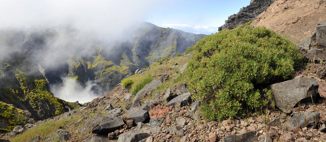 Berglandschap op Madeira