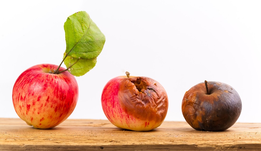 Bacterien eten graag fruit. Ze zorgen ervoor dat het gaat rotten.