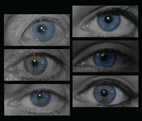 Oogkleur is erfelijk via genen. Binnen een familie is er vaak dezelfde oogkleur. In mijn familie (linksboven oma, linksmidden en -onder vader en moeder, rechts kinderen) hebben we blauwe ogen. Welke oogkleuren komen voor in jouw familie?
