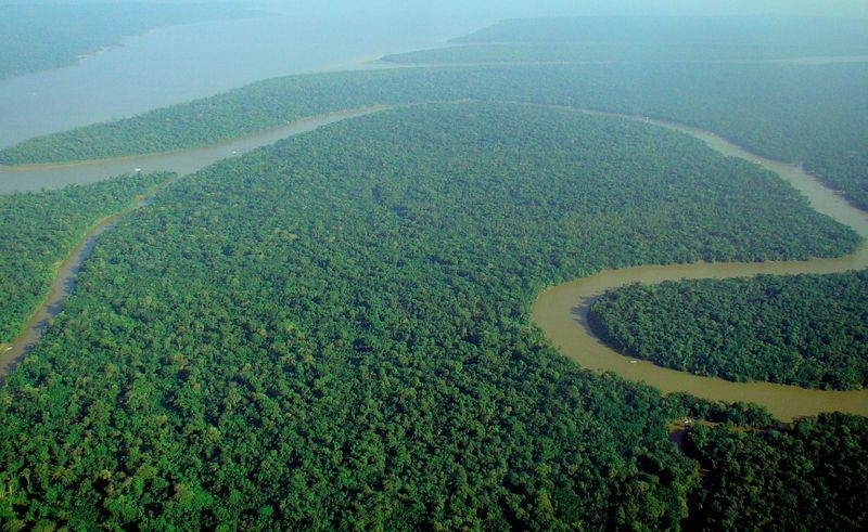 De Amazone, de rivier met het meeste water. Geen wonder: de regen valt hier met bakken uit de lucht.
