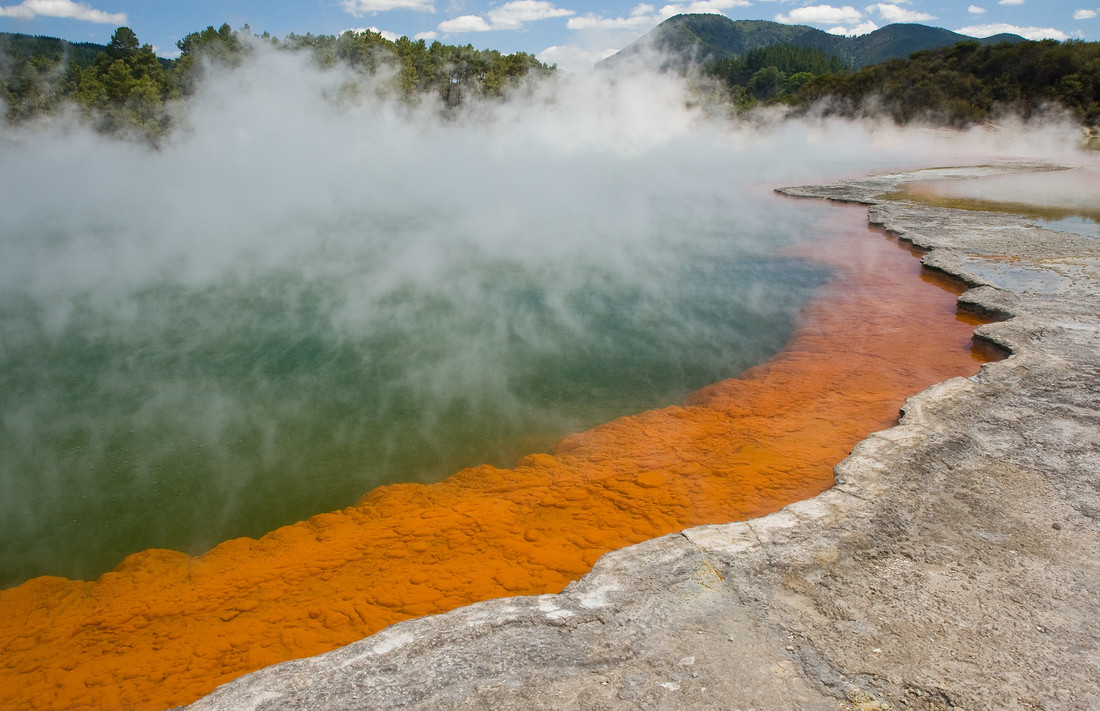 Een gebied waar archaea overleven in Nieuw-Zeeland (Wai-O-Tapu); in kraters, koude en kokende modderpoelen en zwavelgrotten
