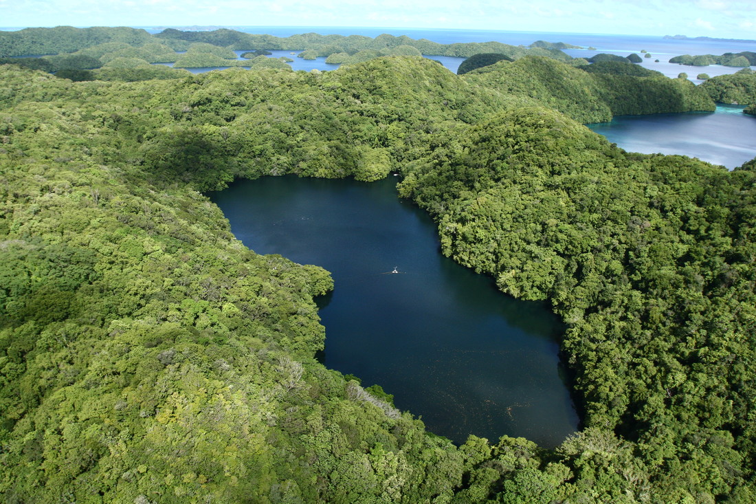 Het kwallenmeer in Palau is ongeveer 30 meter diep.