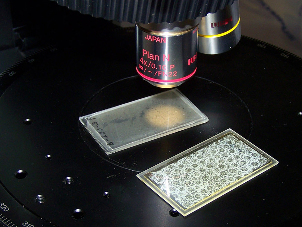 Onderzoekers bekijken slijpplaatjes met een microscoop.