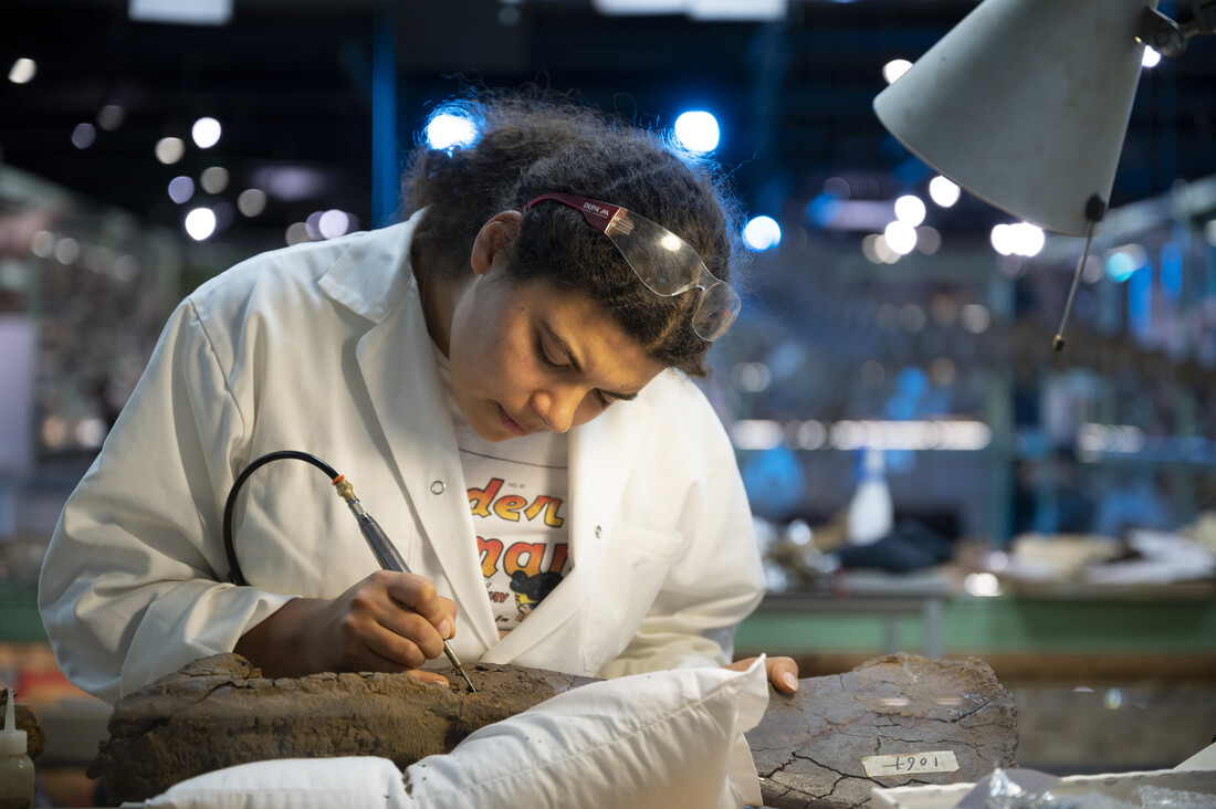 Yasmin maakt live dinobotten schoon in het dinolab van Naturalis. Kom je een keer kijken?