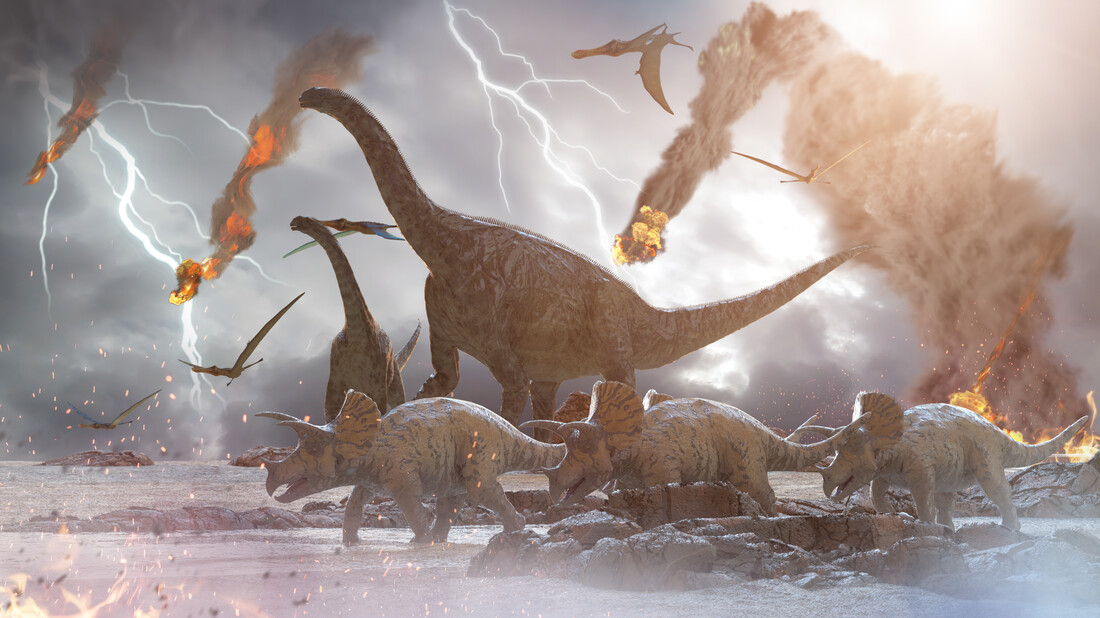 Dit is hoe het eruit gezien kon hebben na de inslag. Alamosaurussen (achter), triceratopsen (voor) en pterosauriërs (lucht) proberen te vluchten.