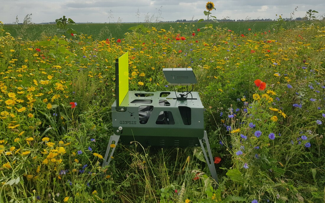 DIOPSIS camera in bloemenveld 2 Rotem Zilber