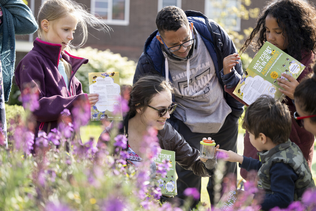 Mensen kijken samen naar hommels naast kleurrijke struik