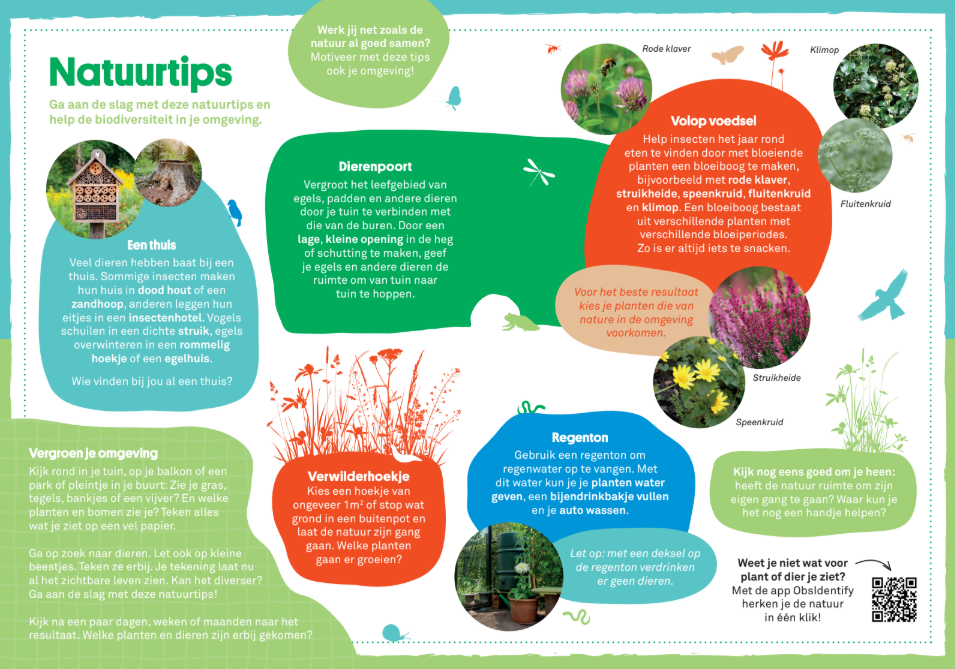 Natuur tipblad achterkant