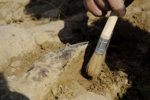 Zand verwijderen van een T. rex bot met een kwast