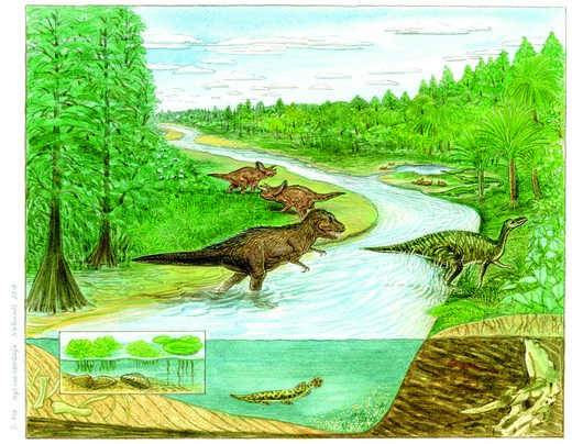 Artist's impression van het vlakke rivierenlandschap in Montana waar Tyrannosaurus Trix 67 miljoen jaar geleden rondliep. 