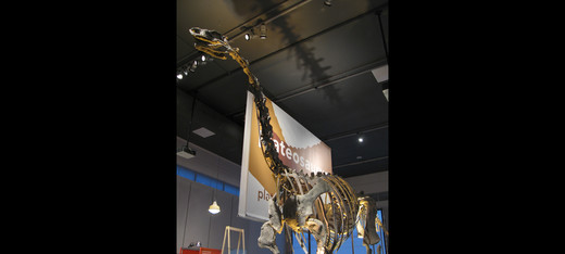 Plateosaurus in Naturalis