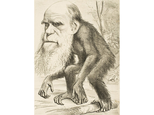 Spotprent van Charles Darwin 