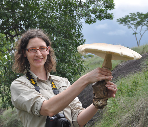 Jorinde Nuytinck onderzoekt een paddenstoel.
