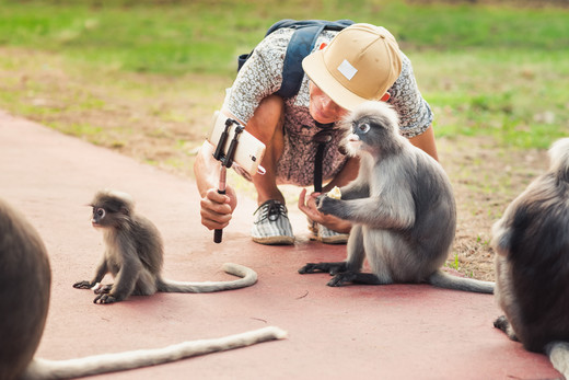 Toerist met apen