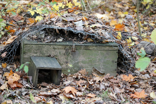 Een egelhuis van een oude kist bedekt met bladeren.