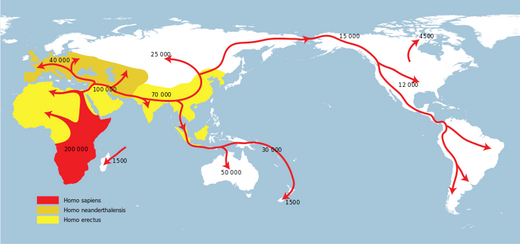 Een kaart van de wereld die laat zien hoe de mens zich in de loop der jaren over de wereld heeft verspreid. De mens ontstond in Afrika en verspreidde zich naar Europa, Azie, Indonesie en Australie en via Azie naar Noord-Amerika en Zuid-Amerika.